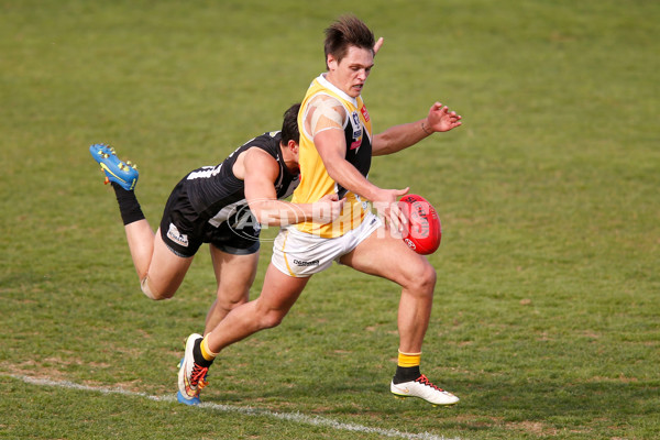 VFL 2015 Rd 09 - Collingwood v Werribee Tigers - 380168