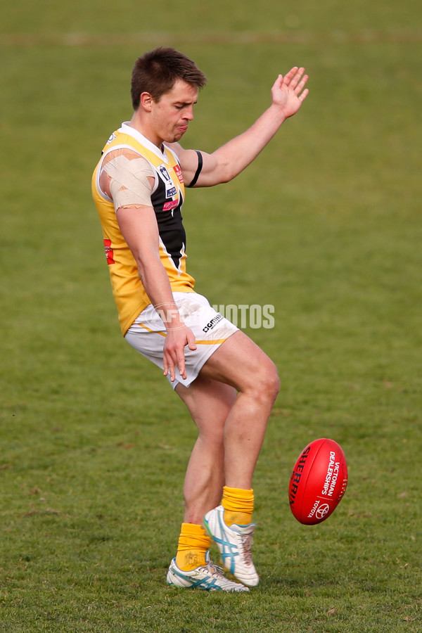 VFL 2015 Rd 09 - Collingwood v Werribee Tigers - 380202