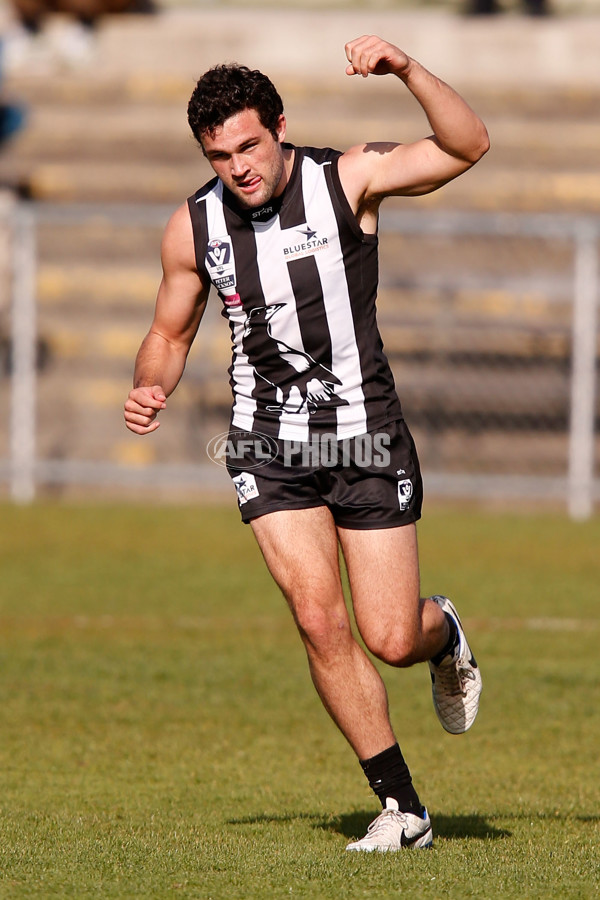 VFL 2015 Rd 09 - Collingwood v Werribee Tigers - 380230