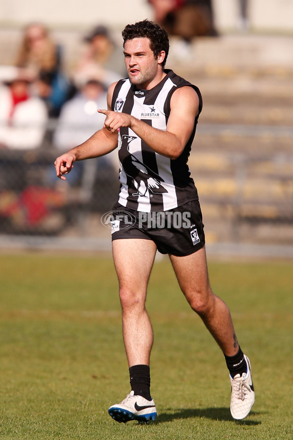 VFL 2015 Rd 09 - Collingwood v Werribee Tigers - 380231