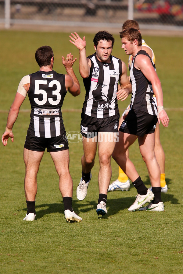 VFL 2015 Rd 09 - Collingwood v Werribee Tigers - 380232