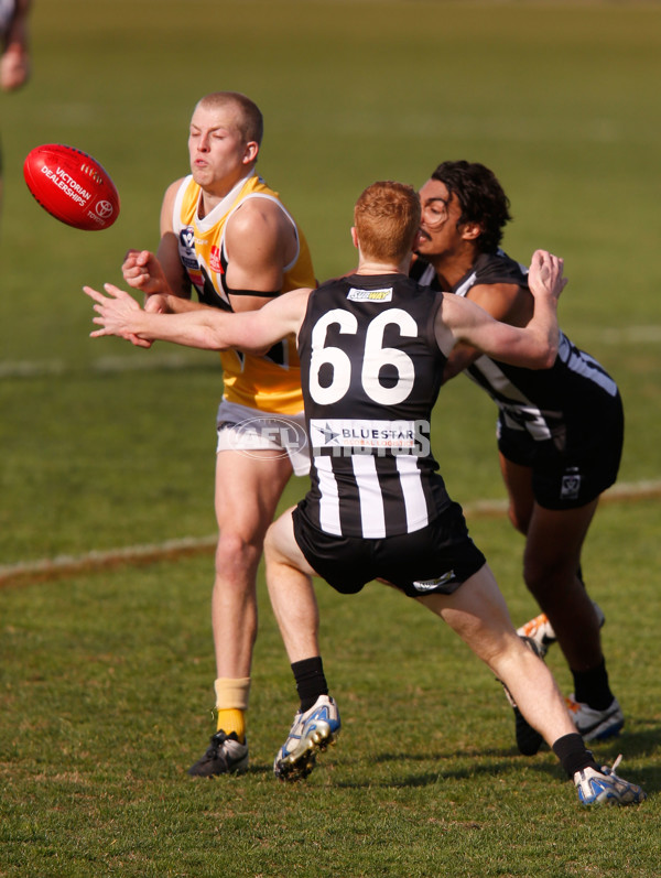 VFL 2015 Rd 09 - Collingwood v Werribee Tigers - 380258