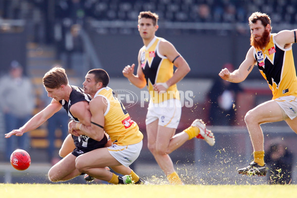 VFL 2015 Rd 09 - Collingwood v Werribee Tigers - 380272