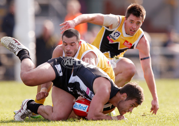 VFL 2015 Rd 09 - Collingwood v Werribee Tigers - 380277