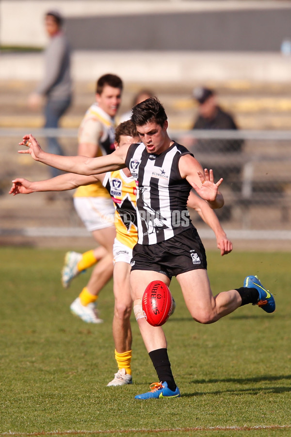 VFL 2015 Rd 09 - Collingwood v Werribee Tigers - 380254