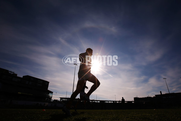 VFL 2015 Rd 09 - Collingwood v Werribee Tigers - 380269