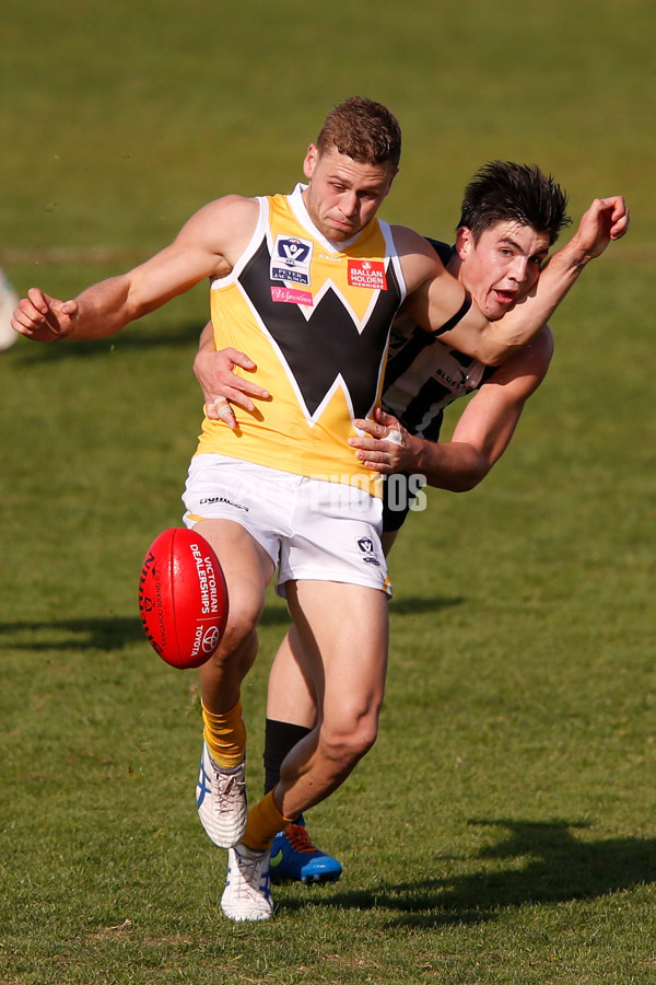 VFL 2015 Rd 09 - Collingwood v Werribee Tigers - 380261