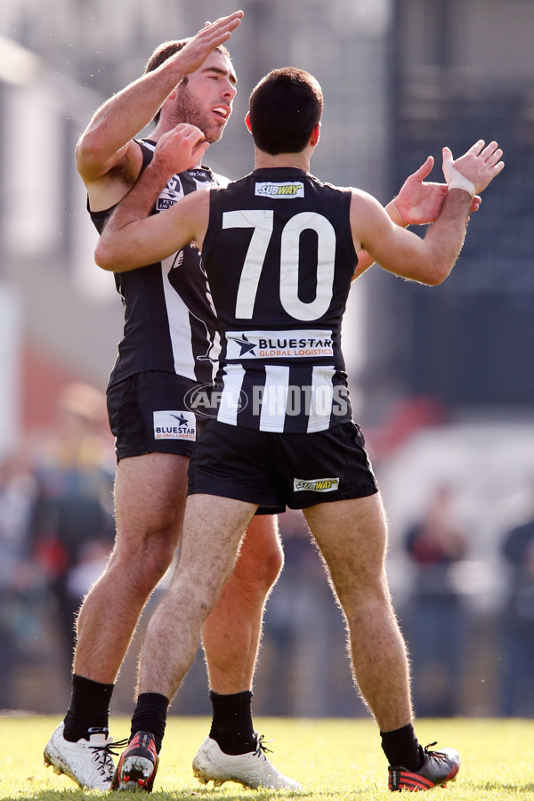 VFL 2015 Rd 09 - Collingwood v Werribee Tigers - 380252