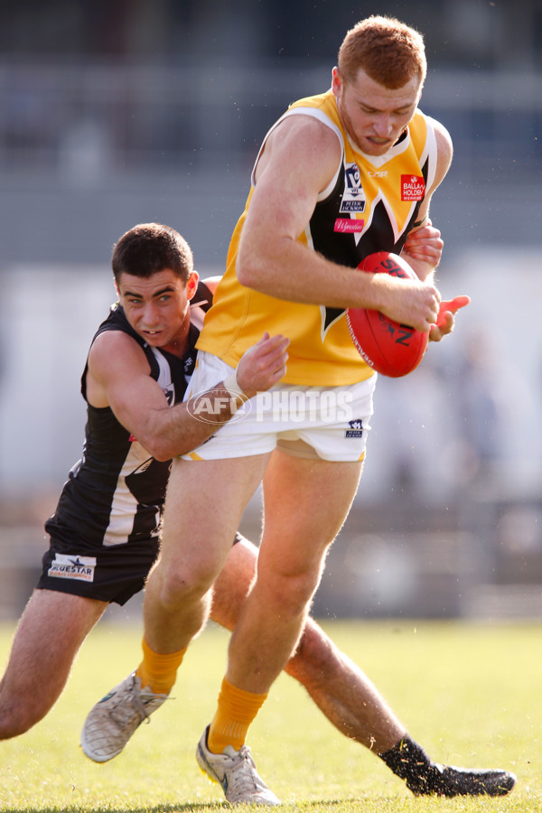 VFL 2015 Rd 09 - Collingwood v Werribee Tigers - 380263