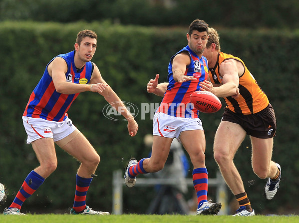 VFL 2015 Rd 08 - Box Hill Hawks v Port Melbourne - 380478