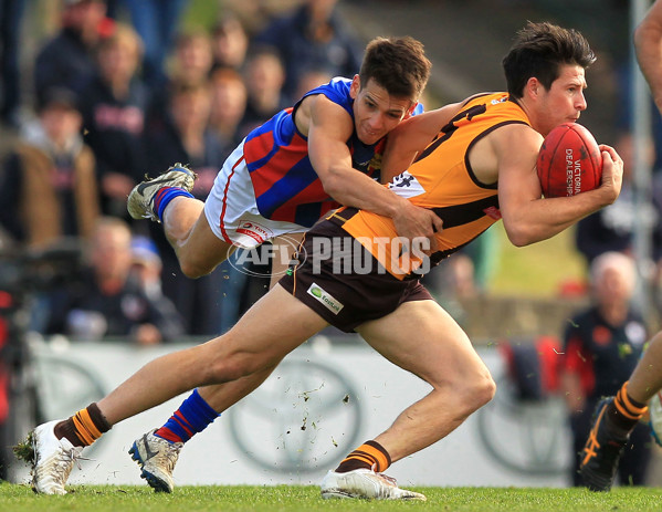 VFL 2015 Rd 08 - Box Hill Hawks v Port Melbourne - 380529