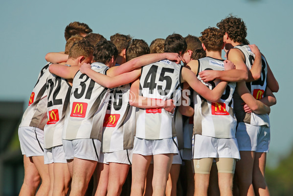 TAC 2015 Rd 10 - North Ballarat v Murray Bushrangers - 380622