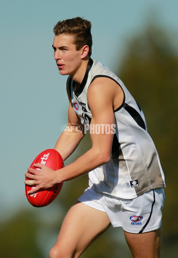 TAC 2015 Rd 10 - North Ballarat v Murray Bushrangers - 380611