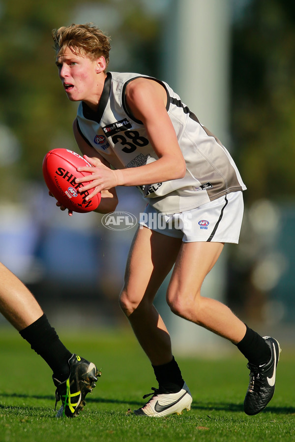TAC 2015 Rd 10 - North Ballarat v Murray Bushrangers - 380631