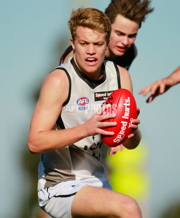 TAC 2015 Rd 10 - North Ballarat v Murray Bushrangers - 380648