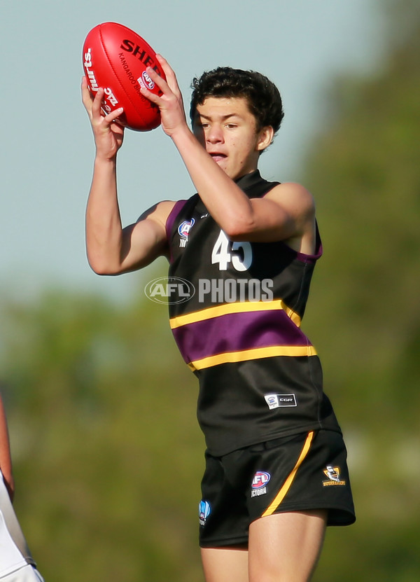 TAC 2015 Rd 10 - North Ballarat v Murray Bushrangers - 380687
