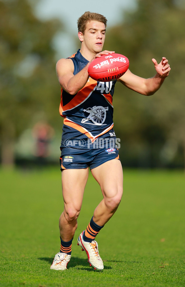 TAC 2015 Rd 10 - Calder Cannons v Queensland - 380730