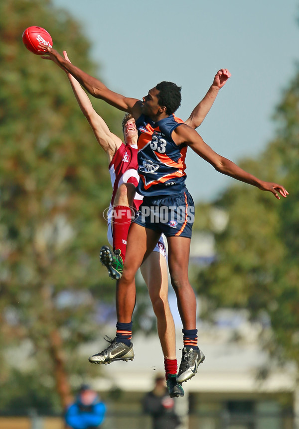 TAC 2015 Rd 10 - Calder Cannons v Queensland - 380758