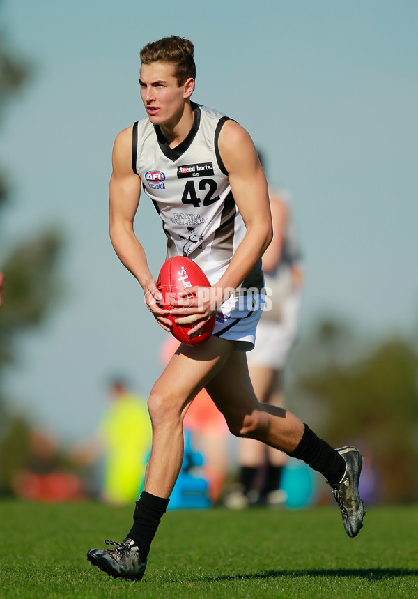 TAC 2015 Rd 10 - North Ballarat v Murray Bushrangers - 380610