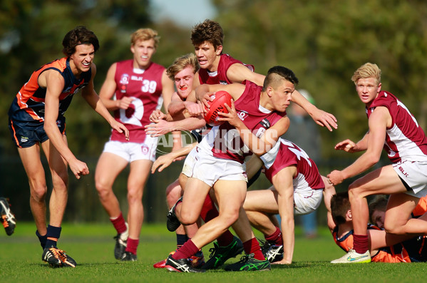 TAC 2015 Rd 10 - Calder Cannons v Queensland - 380728