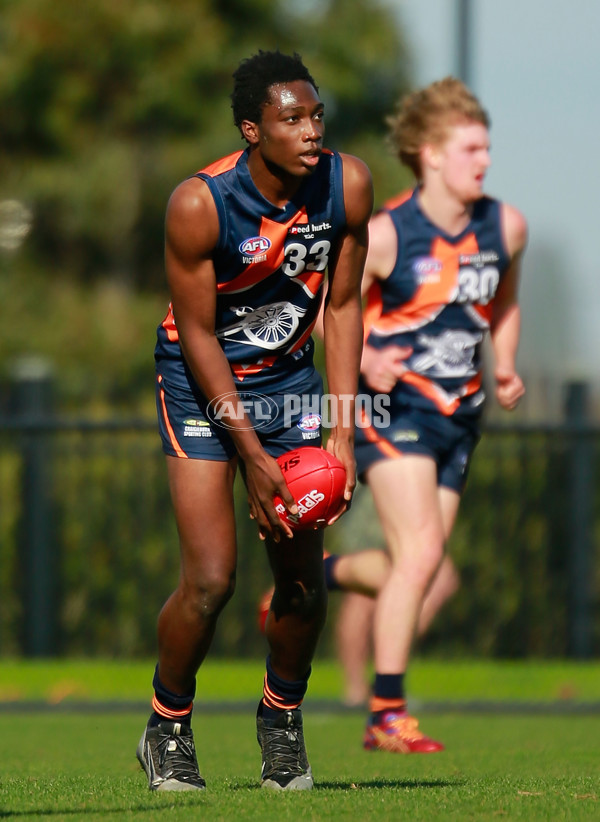 TAC 2015 Rd 10 - Calder Cannons v Queensland - 380753