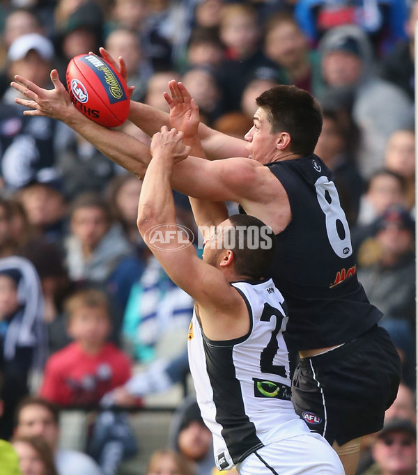 AFL 2015 Rd 12 - Carlton v Port Adelaide - 381339