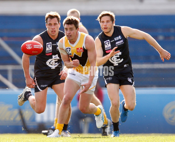 VFL 2015 Rd - Northern Blues v Werribee - 381512