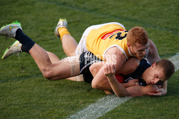 VFL 2015 Rd - Northern Blues v Werribee - 381491