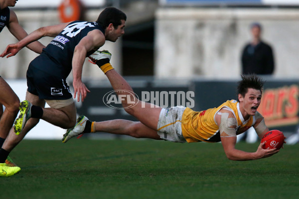 VFL 2015 Rd - Northern Blues v Werribee - 381493