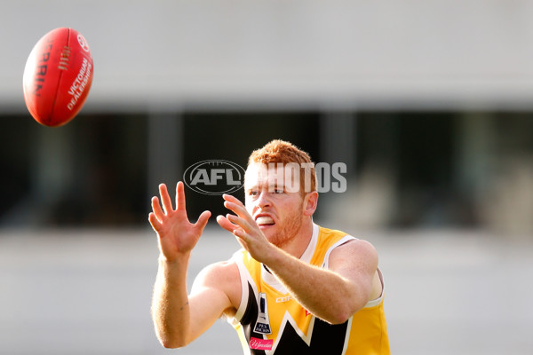 VFL 2015 Rd - Northern Blues v Werribee - 381530