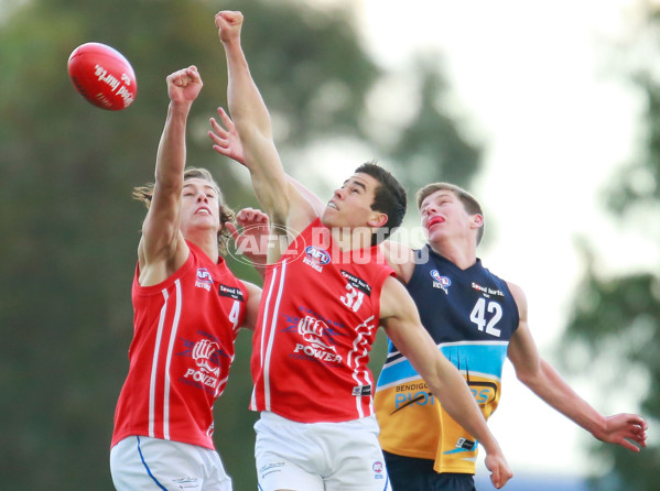 TAC 2015 Rd 10 - Bendigo Pioneers v Gippsland Power - 381519