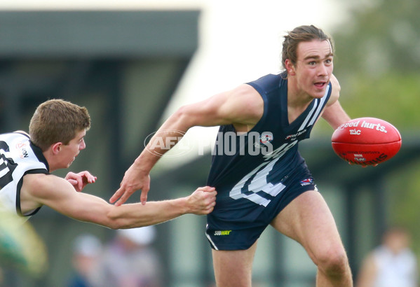 TAC 2015 Rd 10 - Murray Bushrangers v Geelong Falcons - 381658