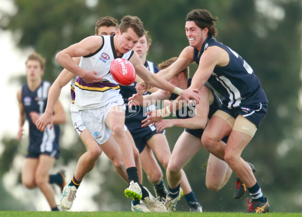 TAC 2015 Rd 10 - Murray Bushrangers v Geelong Falcons - 381722
