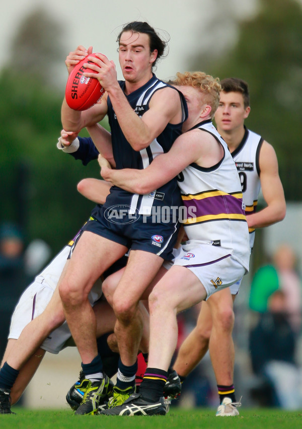 TAC 2015 Rd 10 - Murray Bushrangers v Geelong Falcons - 381753