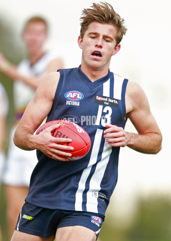 TAC 2015 Rd 10 - Murray Bushrangers v Geelong Falcons - 381748