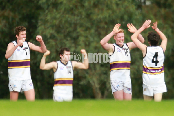 TAC 2015 Rd 10 - Murray Bushrangers v Geelong Falcons - 381812