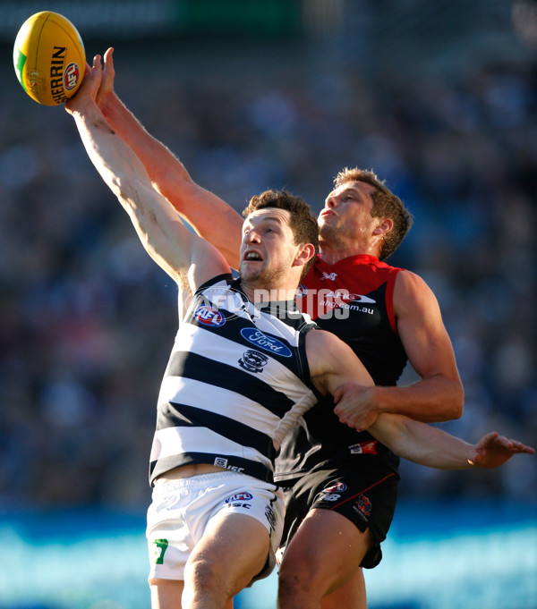 AFL 2015 Rd 12 - Geelong v Melbourne - 381938