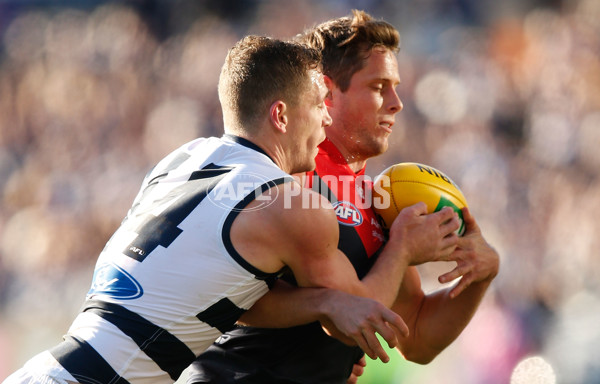 AFL 2015 Rd 12 - Geelong v Melbourne - 381911