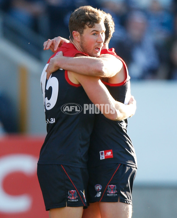 AFL 2015 Rd 12 - Geelong v Melbourne - 381923