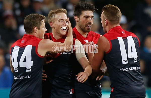 AFL 2015 Rd 12 - Geelong v Melbourne - 381964