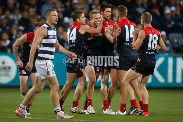 AFL 2015 Rd 12 - Geelong v Melbourne - 382045