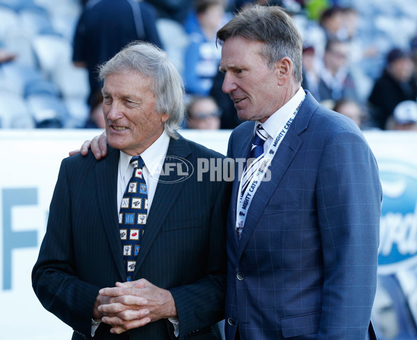 AFL 2015 Rd 12 - Geelong v Melbourne - 382179