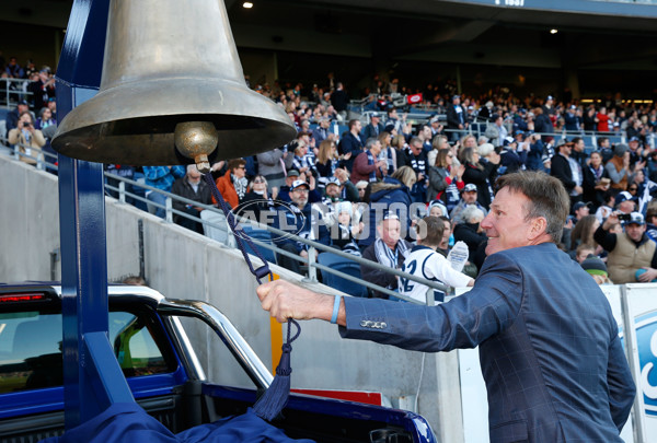 AFL 2015 Rd 12 - Geelong v Melbourne - 382169