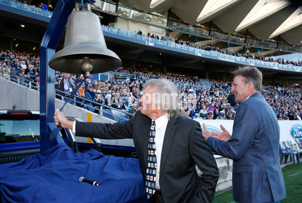 AFL 2015 Rd 12 - Geelong v Melbourne - 382170