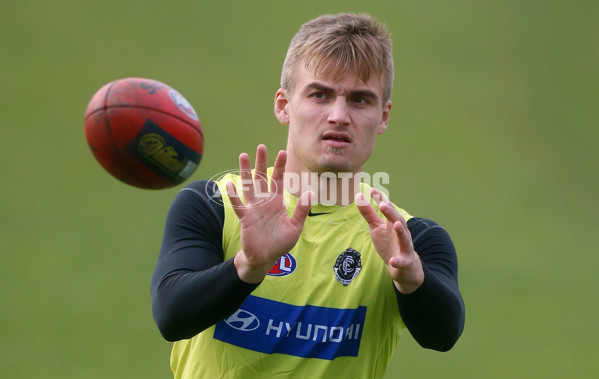 AFL 2015 Training - Carlton 250615 - 382320