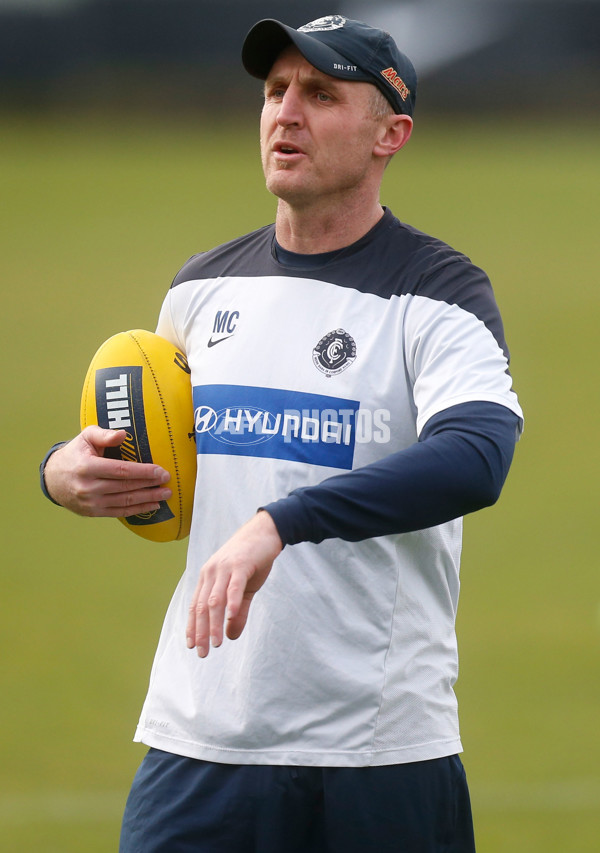 AFL 2015 Training - Carlton 250615 - 382385