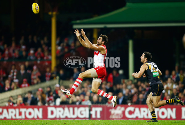 AFL 2015 Rd 13 - Sydney v Richmond - 382875