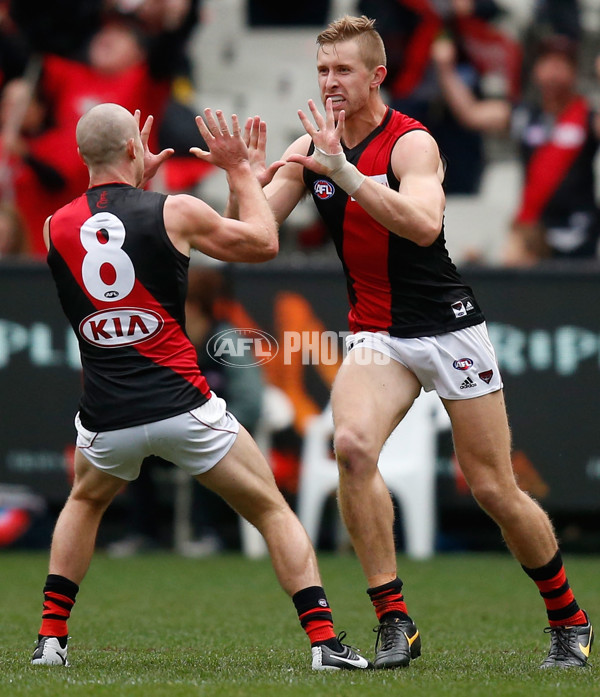 AFL 2015 Rd 13 - Hawthorn v Essendon - 383196