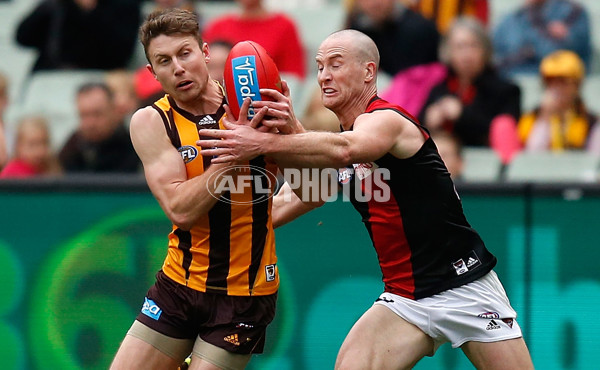 AFL 2015 Rd 13 - Hawthorn v Essendon - 383198