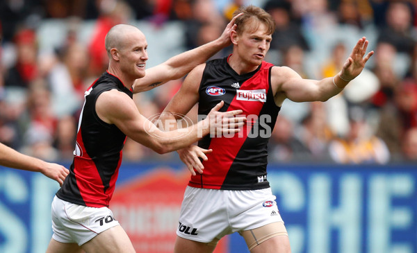 AFL 2015 Rd 13 - Hawthorn v Essendon - 383267